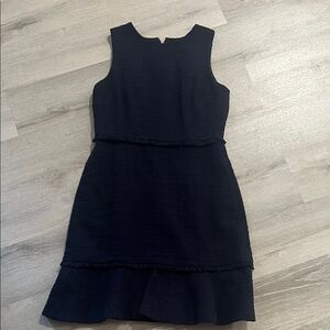 J. Crew Navy Mini Dress